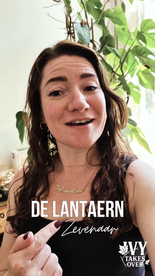 Zevenaar, Zijn Jullie Klaar Voor Een Rockavond?